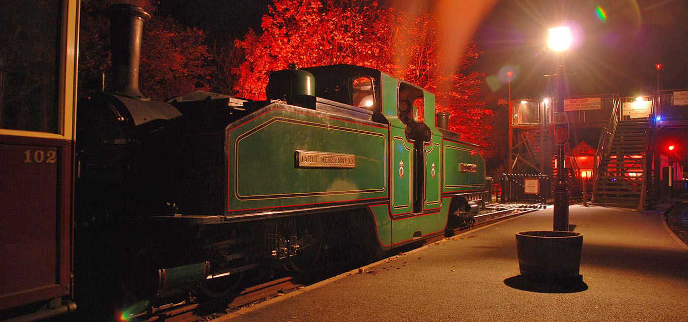 The train stands at Tan y Bwlch station with a Halloween special