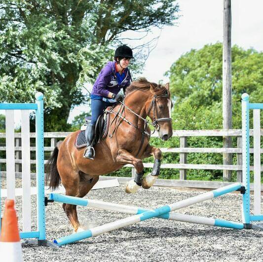 Horse Riding in Snowdonia